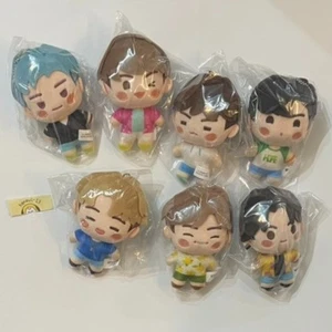 BTS IN THE SEOM Plush Keychain set Japan limited Stuffed toy TinyTAN BT21 Jimin - Picture 1 of 10