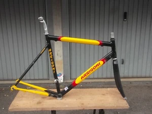 Telaio Corsa Bici Vintage Frame PROFESSIONAL COPPI COLUMBUS ALUTHRON FORK CARBON - Foto 1 di 24