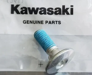 Kawasaki KX250F KX 450F KLX450R OEM Engine Kick Starter Mounting Bolt 92154-0898 - Foto 1 di 7