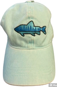 Falls Creek Aqua verstellbare Baseballkappe Mütze Fisch neu mit Etikett WIRKLICH SÜSSE KAPPE - Bild 1 von 4