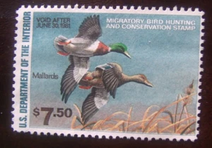 US Duck stamp RW47 Lot#i01 MNG - Picture 1 of 1