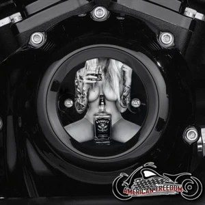 HARLEY DAVIDSON MILWAUKEE 8 EIGHT TIMING POINTS COVER M8 - Whiskey Pin Up - Picture 1 of 1