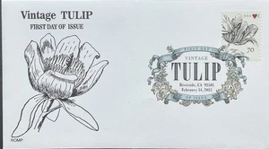 Romp Cachets 4860 Vintage Tulip DCP Riverside California - Imagen 1 de 1