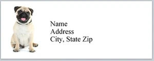 Etiquetas de dirección personalizadas lindo perro pug (P 465) - Imagen 1 de 3