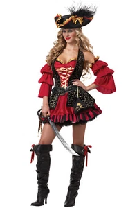 Sexy Spanish Pirate Swashbuckler Adult Halloween Costume - Picture 1 of 1