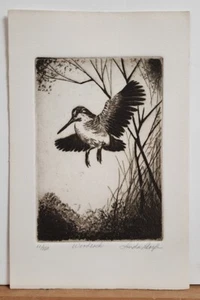 LINDA LLOYD, Original Etching, Woodcock, Signed Numbered - Picture 1 of 6