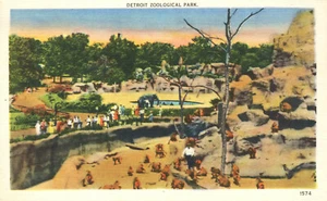 Vista aérea Parque Zoológico Detroit Michigan Postal 1953 Animales Personas - Imagen 1 de 2