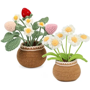 Crochet Kits for Beginners Cute DIY Crochet Plant Starter Kit Daisy/Strawberry - Picture 1 of 9