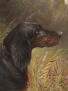 GORDON SETTER CHARMING DOG GREETINGS NOTE CARD LOVELY DOG HEAD STUDY - Picture 1 of 1