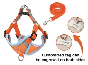 Personalized Dog Harness NO PULL Reflective Breathable Puppy Vest Padded Handle - Picture 1 of 9