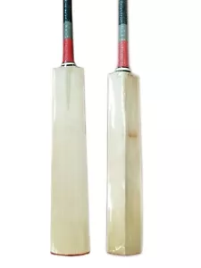 Pioneer "PLAIN" Cricket English Willow Bat, Brand New - Picture 1 of 4