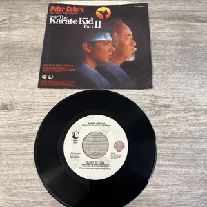 Peter Cetera "Glory Of Love" Karate Kid Part II Vinyl Record 7-28662 VG+/VG+ - Picture 1 of 6