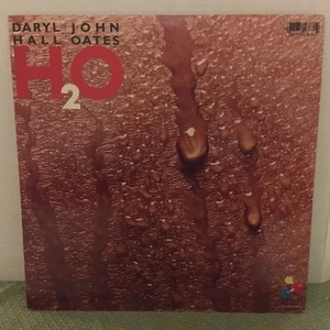 Daryl Hall and John Oates LP H20 1982 RCA AFL1-4383 - Imagen 1 de 6