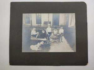 Antikes Foto Bild von kleinen Jungen mit Hunden und Ziege, die einen Wagen ziehen * Unikat - Bild 1 von 5