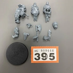 PUTRID BLIGHTKING CHAOS CHAMPION MAGGOTKIN NURGLE SLAVES TO DARKNESS AOS - Picture 1 of 1