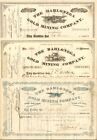 Set of Three Dahlonega Gold Mining Co. - Stock Certificates - Group of 3 Georgia