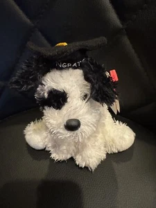 TY Beanie Baby "CONGRATS" Blanco Perro de Graduación (Walgreen's Excl) 6" 2009 - Nuevo - Imagen 1 de 5