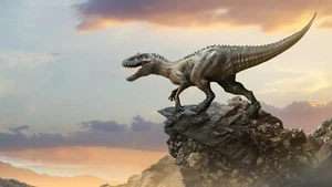 Small A6 Dinosaur Poster (Brand New) - Picture 1 of 2