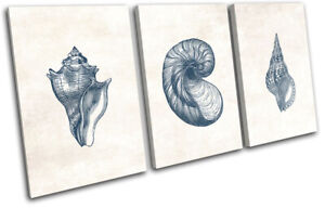 Sea Shells Nautical Bathroom TREBLE CANVAS WALL ART Picture Print