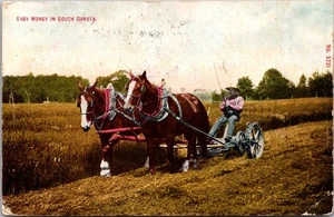 Man Driving Team of Horses, Easy Money in South Dakota c1910Vintage Postcard Q16 - Picture 1 of 2