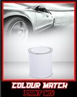 Quality Paint Match Pro - Size Options - for Mazda Advan Silver Metallic S6
