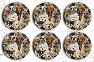 Juego de seis posavasos de neopreno para bebida para perros - Imagen 1 de 3