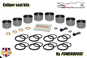 Aprilia RSV1000 R FACTORY 2005 front brake caliper piston seal rebuild repair - Picture 1 of 9