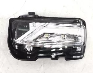 NEW OEM GM Driver Door Mirror Turn Signal Lamp 23278558 Chevy Malibu 2016-2024 - Picture 1 of 7