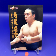 Terao Tunefumi- BBM Sumo Wrestler Trading Card 1998 Japan TCG Japanese 01