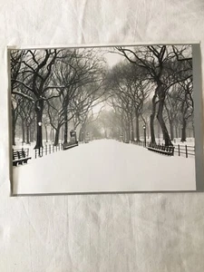 NEW YORK  CENTRAL PARK   Photo Art Print 8x10  inch reproduction  - Picture 1 of 3