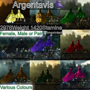 Ark Survival Ascended Pve Argentavis / Argy Max Level 362 - Picture 1 of 29
