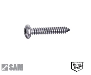 50 Stück Blechschrauben DIN 7981 mit Linsenkopf Edelstahl A2 2,6X22 - Bild 1 von 1