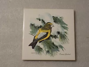 Print Design Evening Grosbeak Bird Ceramic Porcelain Art Tile Decor Wall Hanging - Picture 1 of 2