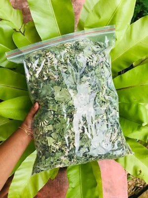 Ceilán Sueño Mexicano Hierba Seca Calea Zacatechichi Lúcida 100% Orgánica Hoja Pura Foto 1 de 4