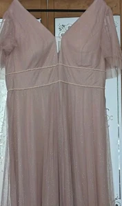 Beautiful Shimmering Dusky Pink Bridesmaid/Prom sz 20 Bust 42 Ins, Wst 40 Ins. - Picture 1 of 7
