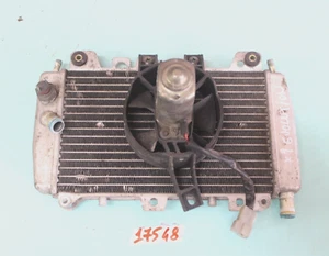 RADIATORE PIAGGIO X9 EVOLUTION - Imagen 1 de 3