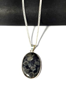 Negro Fossil Piedra Colgante Collar En Acero Inoxidable Cadena, Natural Tierra - Imagen 1 de 4