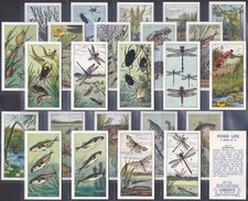 LAMBERTS (TEA)-FULL SET- POND LIFE 1964 (25 CARDS) EXCELLENT+++