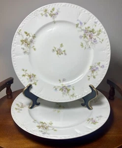 Antique PAIR Limoges GDA Bour Bros Canton France Soft Floral Dinner Plates 9.5" - Picture 1 of 9