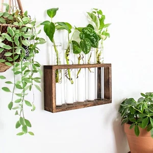 Wall Hanging Glass Plant Terrarium Test Tube Flower Bud Vase Propagation Stand - Picture 1 of 9