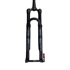 Télécommande FOX 34 SC Performance Elite 29" 120mm 44mm FIT4 3-Pos 2023/22 PTL - Gris - Photo 1/3