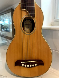 Washburn Rover Reise-Akustikgitarre RO10 hochwertig mit gepolstertem Protec Gigbag - Bild 1 von 24
