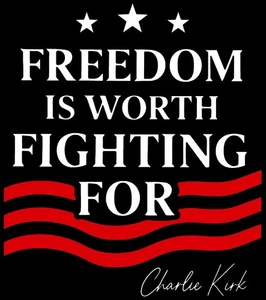 Freedom Worth Fighting Bügelbild Transfer-T-Shirt + helle & dunkle Farbstoffe #8 - Bild 1 von 4