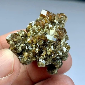 115 KT SCHÖNE ANDRADIT GRANAT KRISTALLE BÜNDEL SCHÖNES DISPLAY EXEMPLAR SKARDU  - Bild 1 von 13