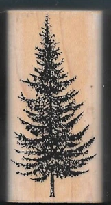 PINE TREE FIR WOOD LANDSCAPE COUNTRY STAMPS BY IMPRESSION Wood Mount Rubber - Picture 1 of 3