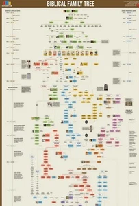 Biblical Family Tree, Poster, 24"x36" - Picture 1 of 1