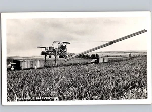 Máquina cosechadora de piña c1950 Hawaii HI RPPC foto real postal - Imagen 1 de 2