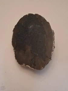 Polished Thunder egg half  7 Ounces  - Picture 1 of 12