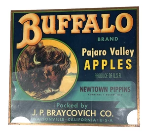 VTG. CRATE LABEL - Buffalo Pajaro Valley Apples - FRAMED Reproduction Print - Picture 1 of 3