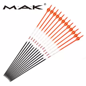 6X 30" SP400 Carbon Arrows Plastic Feathers Recurve&Compoud Bow Archery Practice - Picture 1 of 11